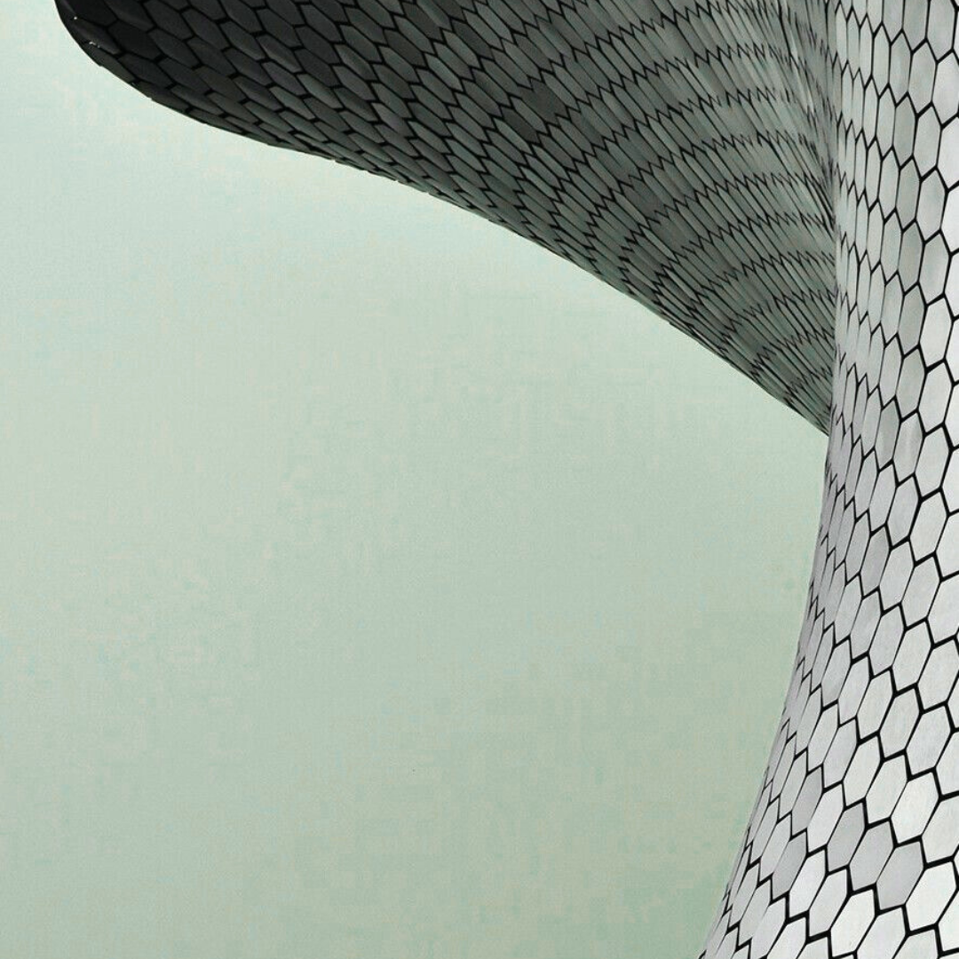  Outsourced Chief Compliance Officer (CCO)